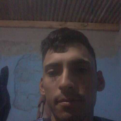 cintia176