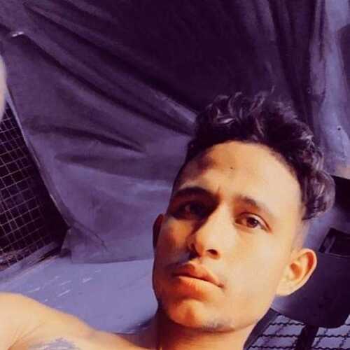 Raphaelferr