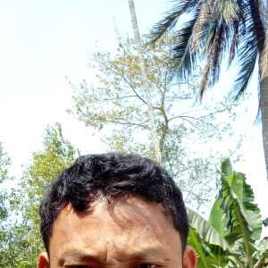 pinkugogoi