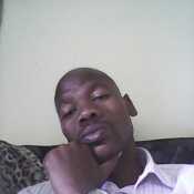 Realdynasty