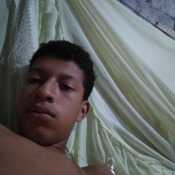 alissonhered263
