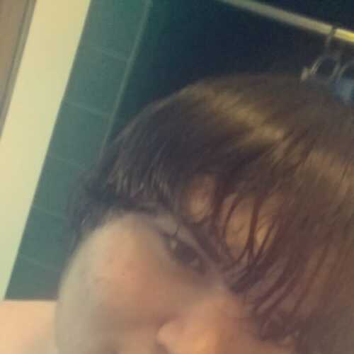 Bdog