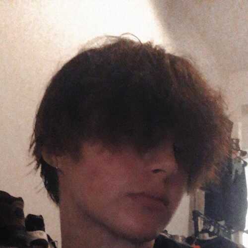 Aristpup