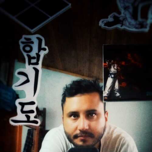 skatepunkp095