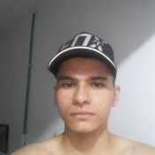 Rexis321