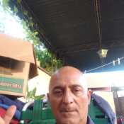 llegoelpamper608