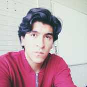 RodrigoP24