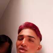 Alfonsotwink
