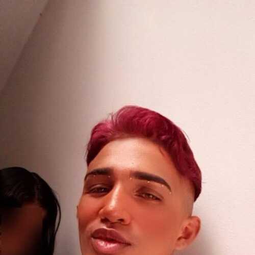 Alfonsotwink
