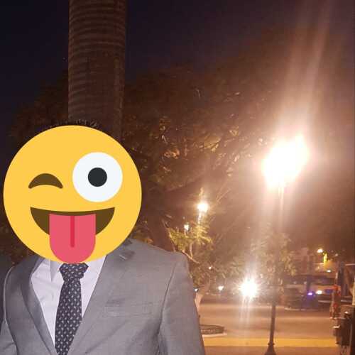 Sedillo196