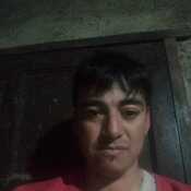 crisalfred206
