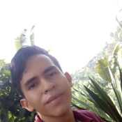 devid82
