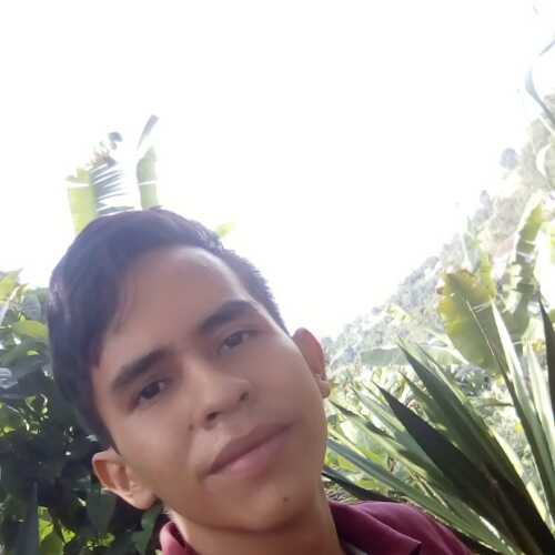 devid82