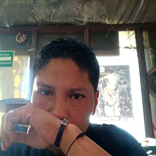Pato