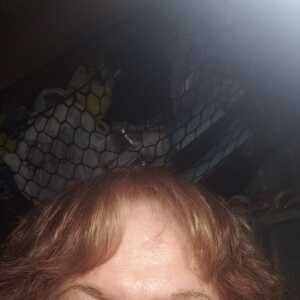 Tvsheila65