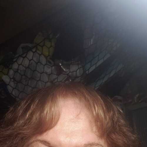 Tvsheila65