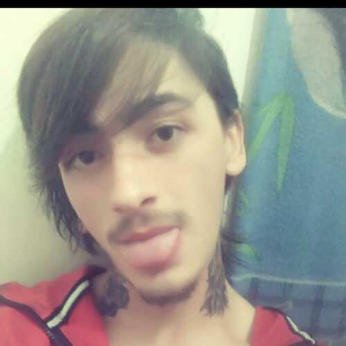 Aureass