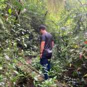 dcha656