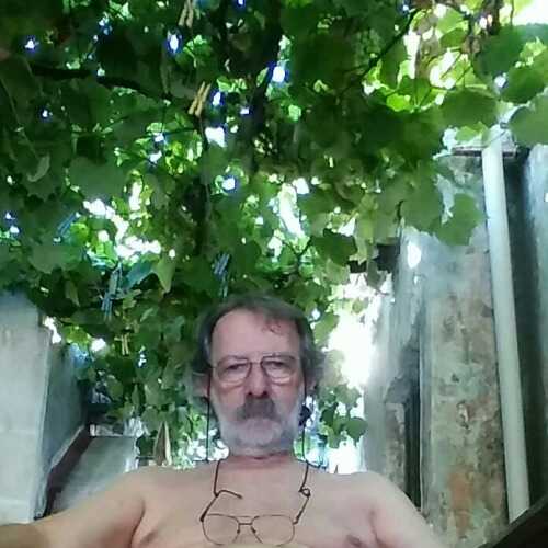 Leoleon