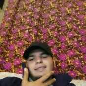 goy133