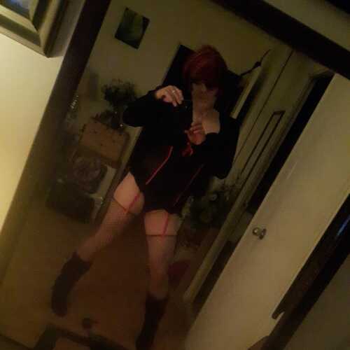 dhc065