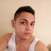 paezh29