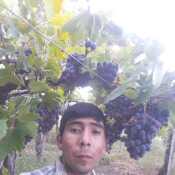 Simeonpedraza1