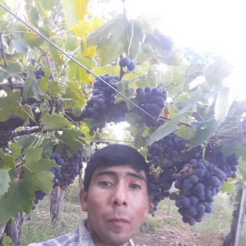 Simeonpedraza1