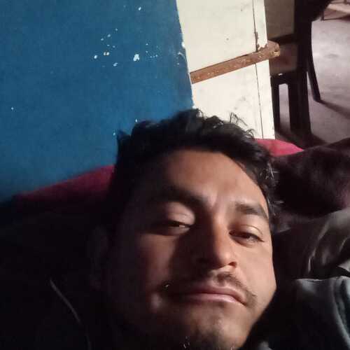 davza336