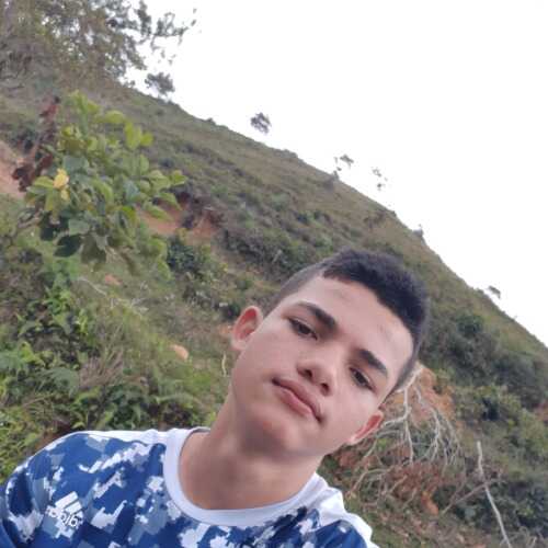 ALEX