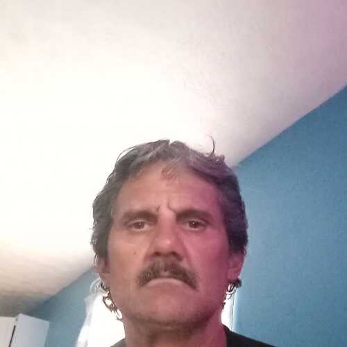 Gino