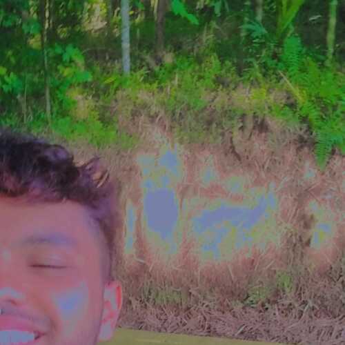 Davidnxvxvx