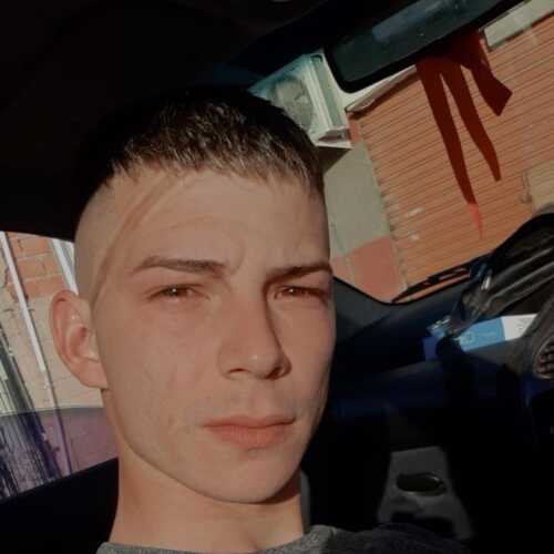dibinmar336