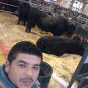 juliobeto14