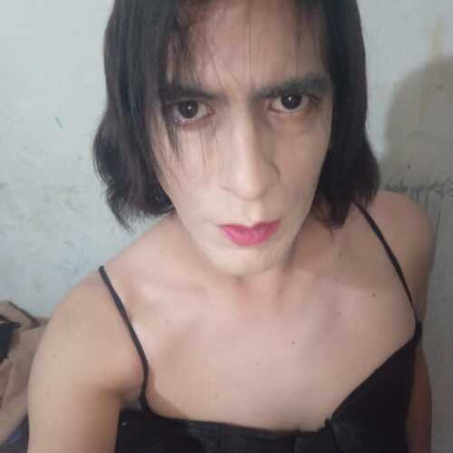 Cami Cordobeza