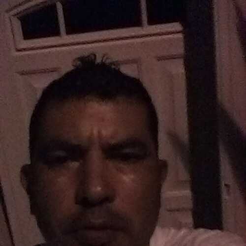 Papimio