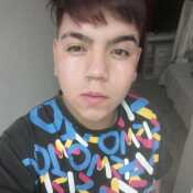 pinogas363