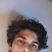 Willydp