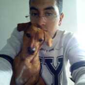 daann15