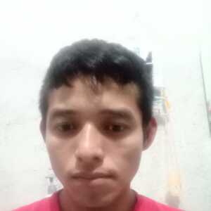 Layph
