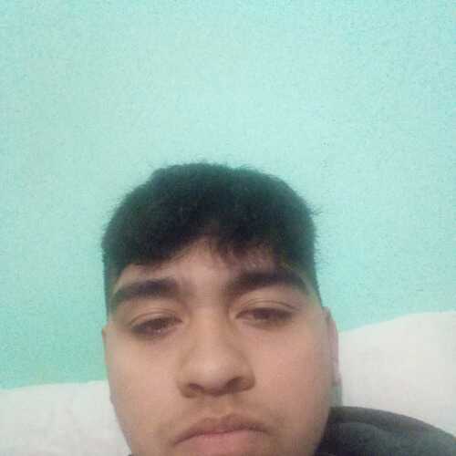 Bauto123