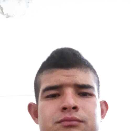 ferjamo1