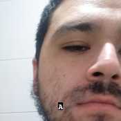 enzomoa066