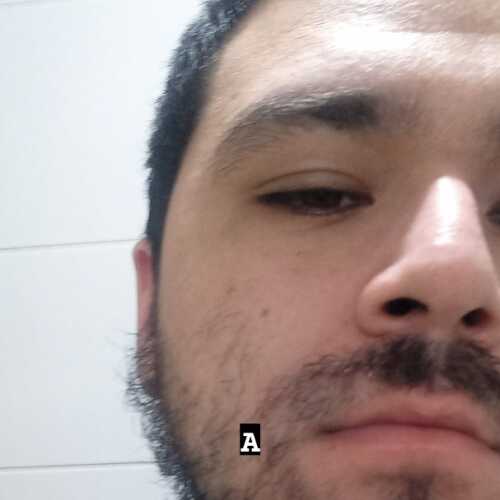 enzomoa066