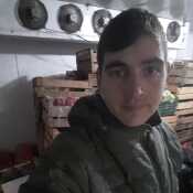 aled378