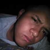 dgodoysando870