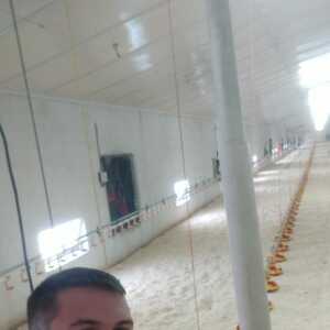 davidve397