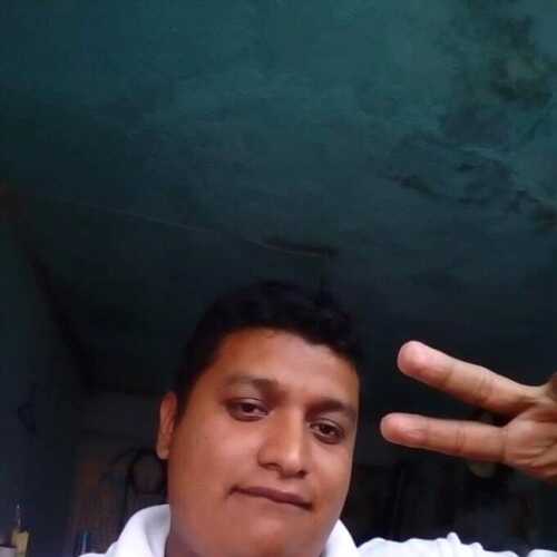 palvip077