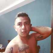 gngar384