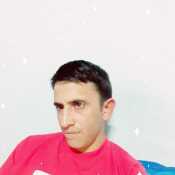 Faustinocarva716